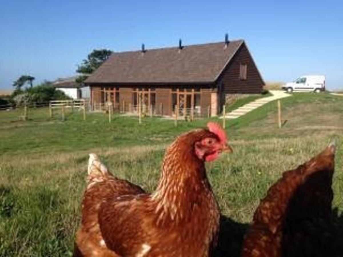 Poachers Hut - Captivating 1-Bed Cottage Shorwell Dış mekan fotoğraf